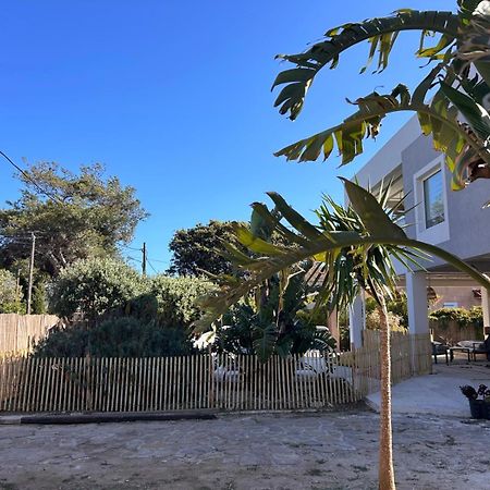 Bas De Villa - 300M Plage De La Capte - 2 Hebergements Disponibles Hyeres Luaran gambar